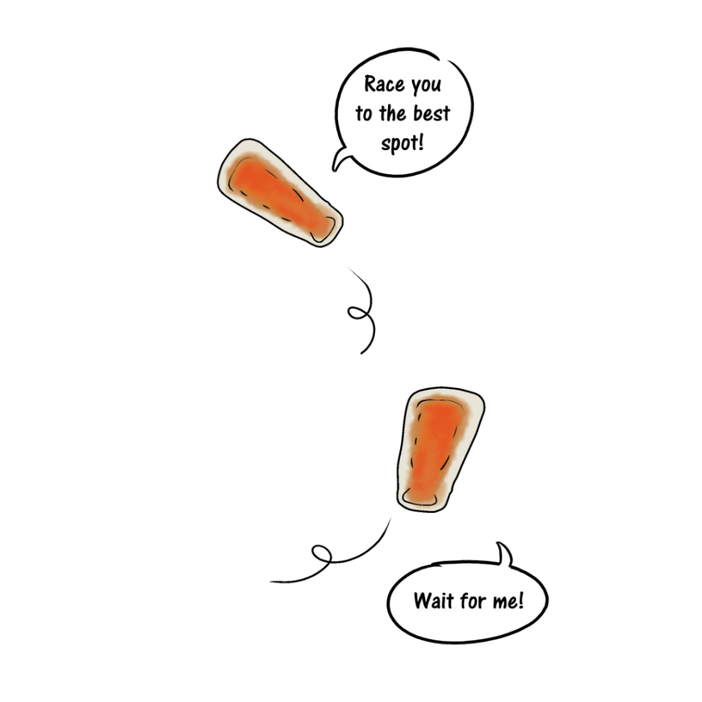 A cartoon of two coral larvae swimming around. One says "race you to the best spot!" and the other says "wait for me!"