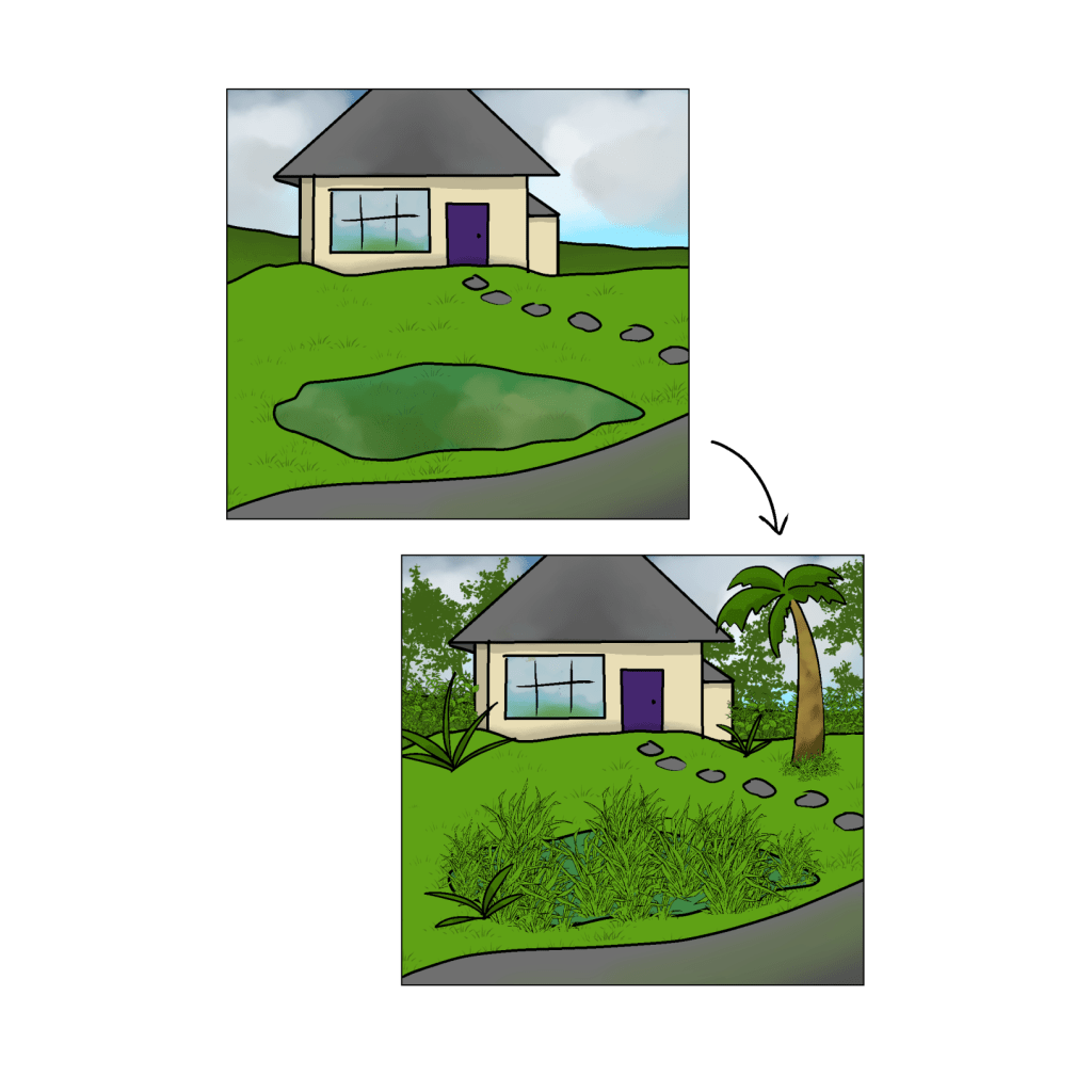 A cartoon of a house with a large green lawn and a brownish pond transitions to the same cartoon but now with trees and bushes and plants surrounding it.